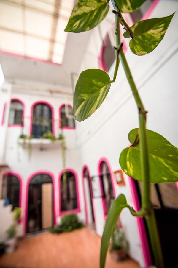 Taiyari Hostal Monterrey Exterior foto